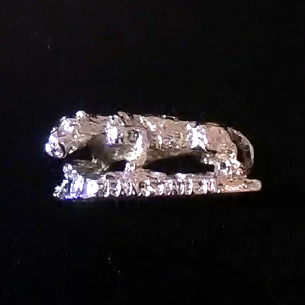 Penn State University Lapel Pin